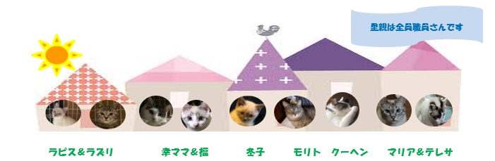kwpknq087w6s9oma-qqit1_jbx12bvxm.jpg